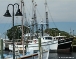 JCGuests - Tarpon Springs Sponge Dock